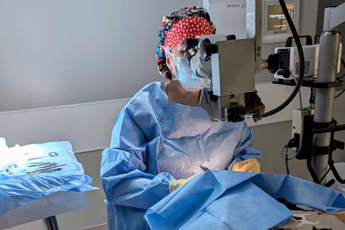 A female surgeon performing a procedure on a patient in an operating room